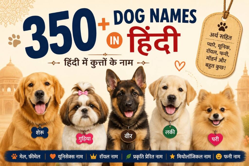 350+ Dog Names in Hindi (हिंदी में कुत्तों के नाम)