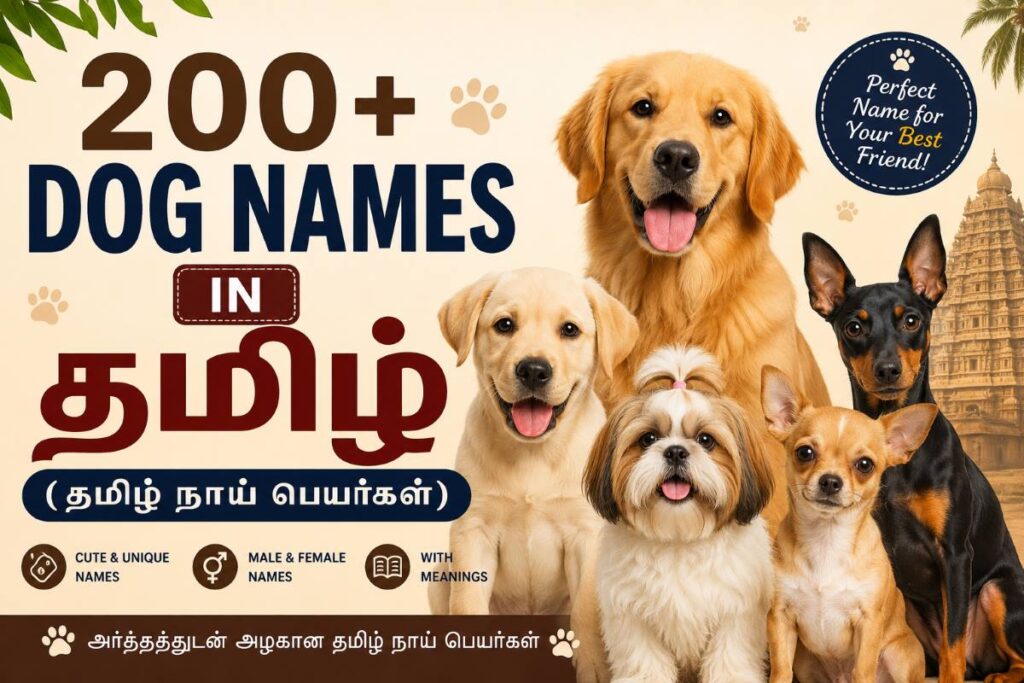 200+ Tamil Dog Names (தமிழ் நாய் பெயர்கள்) with Meanings
